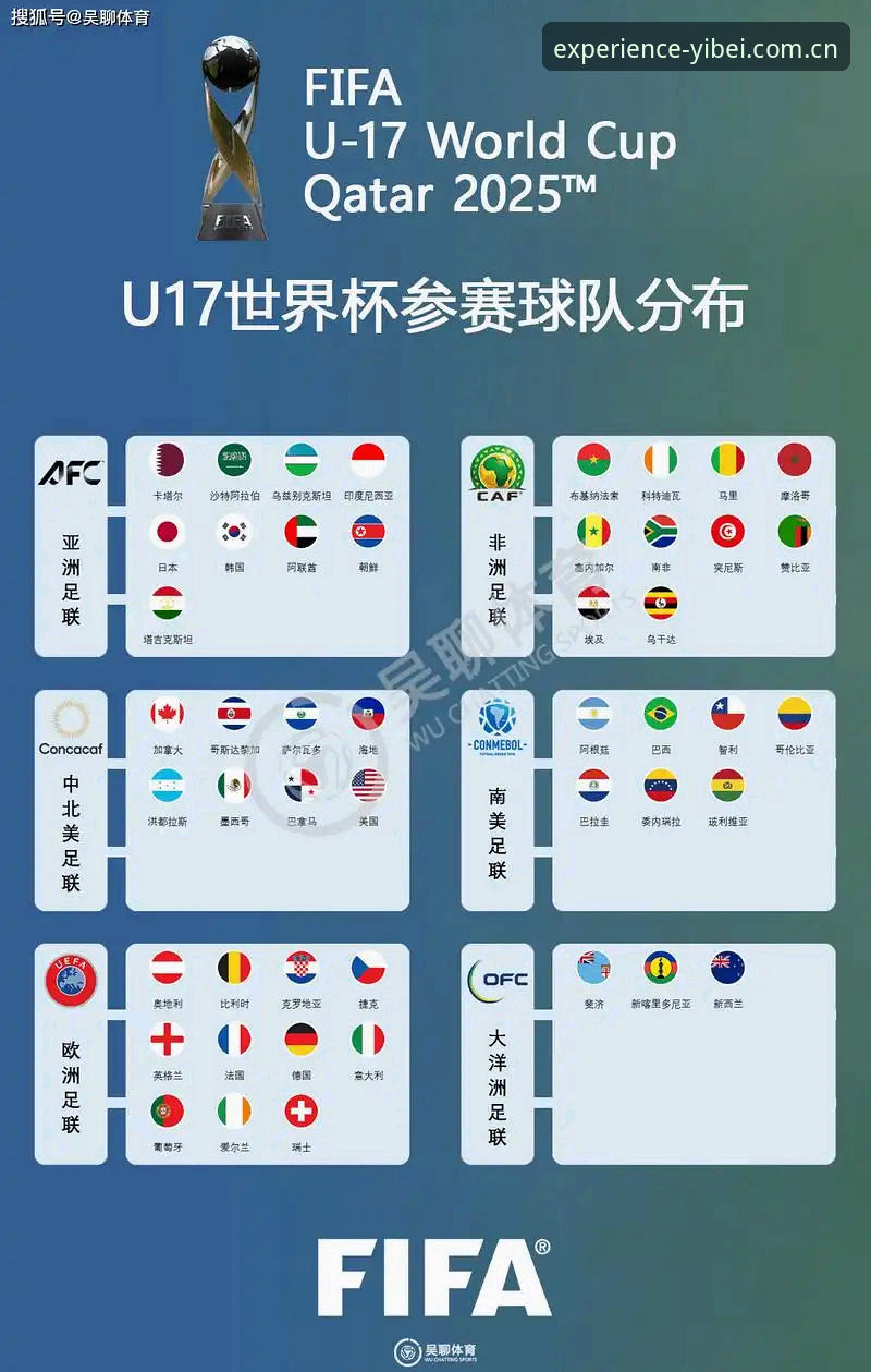 U17世界杯抽签结果解析：新手球迷观赛指南（基于易倍体育官网数据）